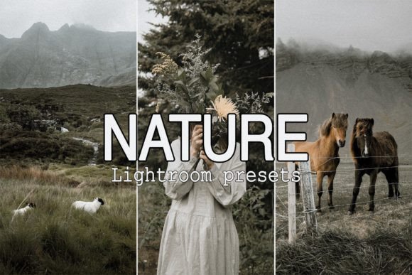 Download 9 Nature Lightroom Mobile Presets - Mobile Collection