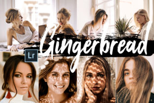 Download 5 Gingerbread Desktop Lightroom Presets - Premium Resources